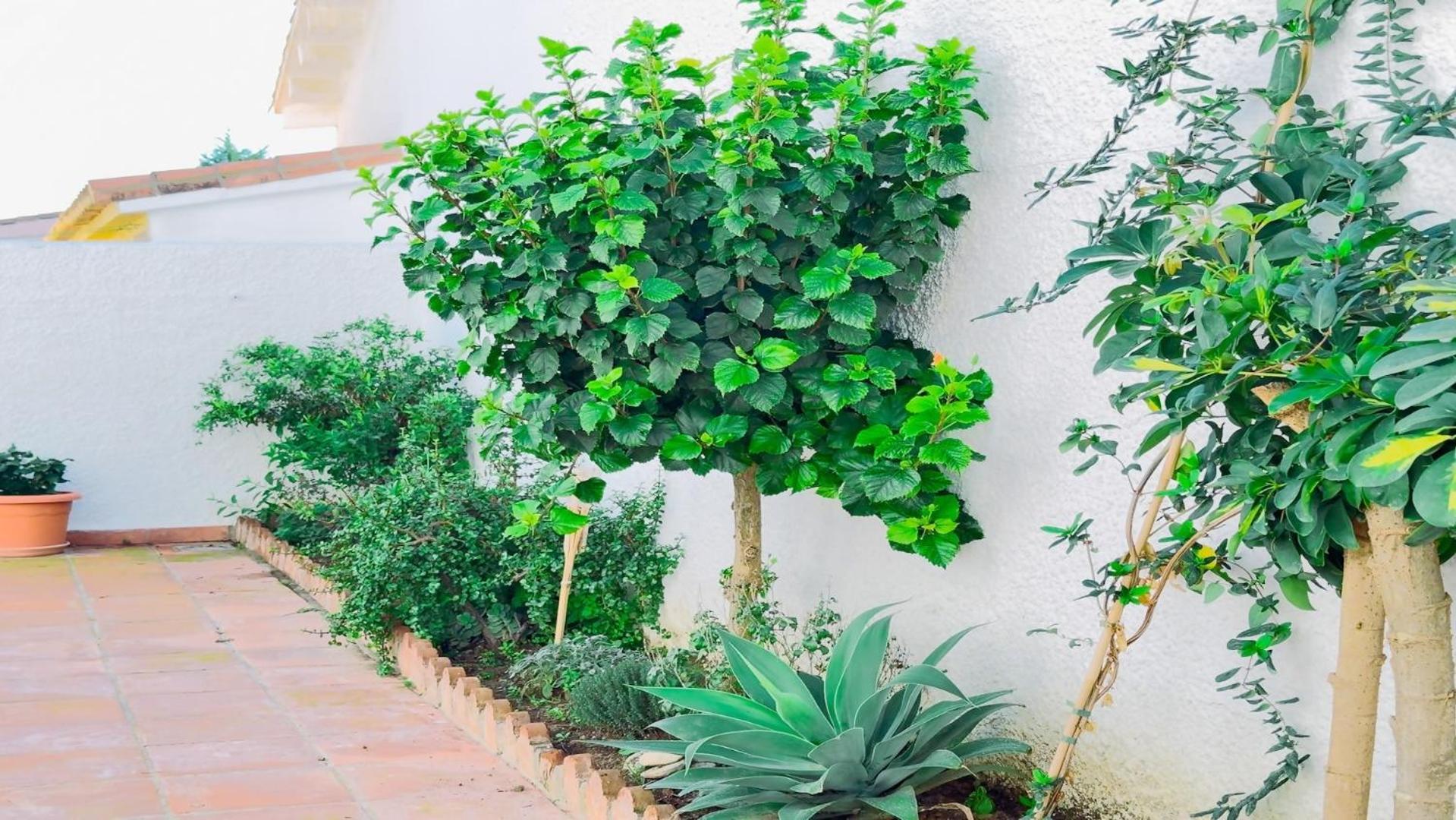 Vivienda Con Encanto Goya Nº4 Benalmádena Dış mekan fotoğraf